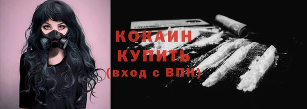 дурь Гусев