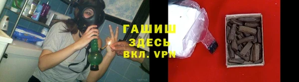 дурь Гусев