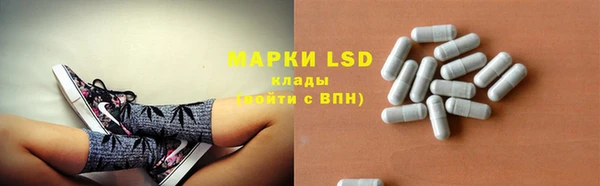 ГАЛЛЮЦИНОГЕННЫЕ ГРИБЫ Гусь-Хрустальный