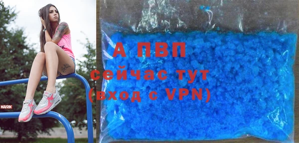 дурь Гусев