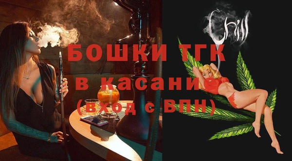 ГАЛЛЮЦИНОГЕННЫЕ ГРИБЫ Гусь-Хрустальный