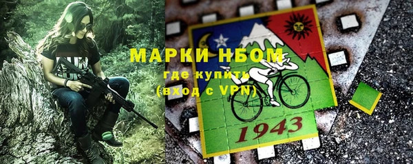 ГАЛЛЮЦИНОГЕННЫЕ ГРИБЫ Гусь-Хрустальный