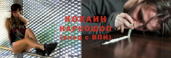 ГАЛЛЮЦИНОГЕННЫЕ ГРИБЫ Гусь-Хрустальный