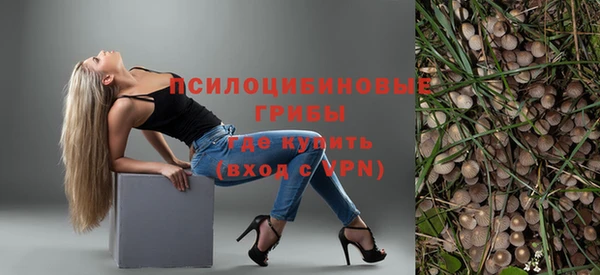 ГАЛЛЮЦИНОГЕННЫЕ ГРИБЫ Гусь-Хрустальный