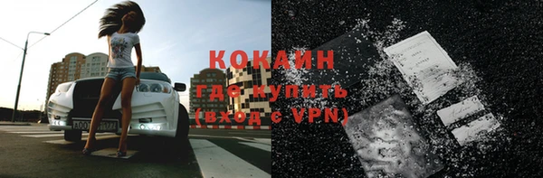 прущие крисы Дубна