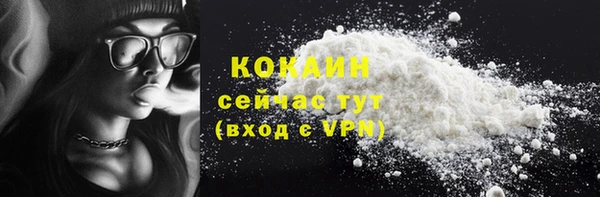 дурь Гусев