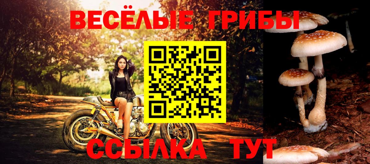 Псилоцибиновые грибы мицелий  Вход с VPN  Донецк 